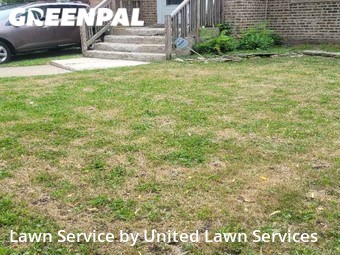 Grass Cutting nearby Chicago, IL, 