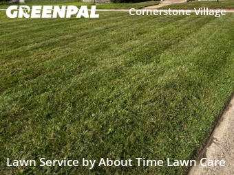 Lawn Cut nearby Detroit, MI, 