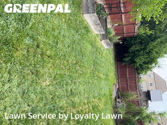 Lawn Cut nearby Lexington, KY, 