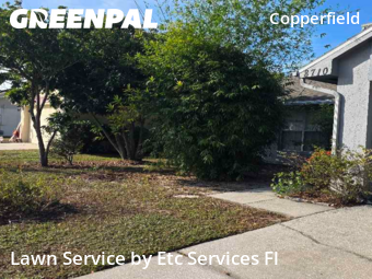 Lawn Servicein Tampa,33634,Lawn Care by Etc Services Fl, work completed in Dec , 2025