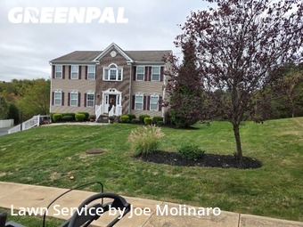 Yard Mowing nearby Mc Kees Rocks, PA, 