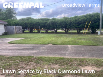 Grass Cut nearby Pensacola, FL, 