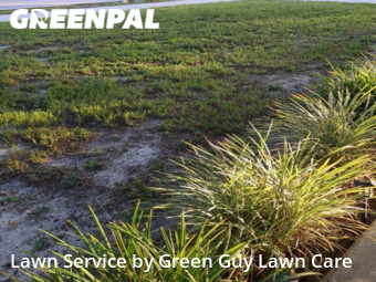 Lawn Care Service nearby Temple Terrace, FL, 