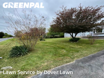 Lawn Care Service nearby Dover, DE, 