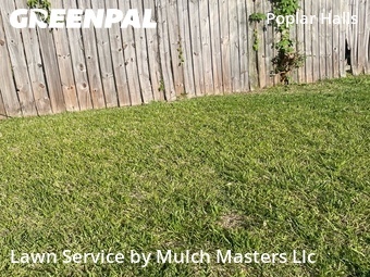 Yard Cutting nearby Norfolk, VA, 