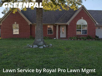 Lawn Care Service nearby Walls, MS, 