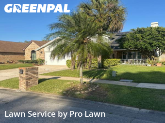 Lawn Mow nearby Winter Park, FL, 