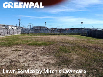 Lawn Mow nearby Harvey, LA, 