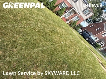 Grass Cutting nearby Washington, MD, 