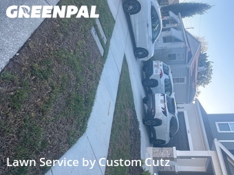 Lawn Cut nearby St. Petersburg, FL, 