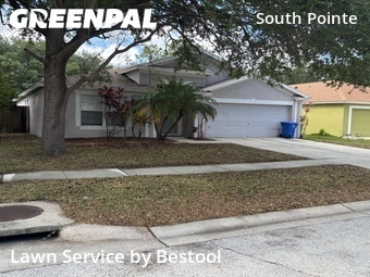 Lawn Servicein Riverview,33578,Lawn Mowing by Bestool, work completed in Jun , 2026