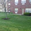 lawn-maintenance-in-Springfield-MO