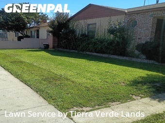 Grass Cut nearby Lynwood, CA, 