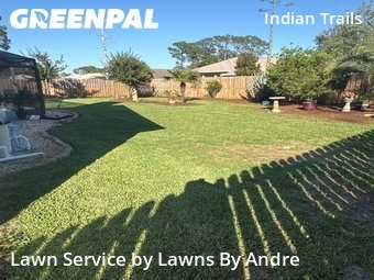 Grass Cut nearby Palm Coast, FL, 