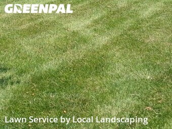 Lawn Care Service nearby Lewis Center, OH, 