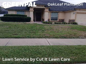 Grass Cut nearby Orange Park, FL, 