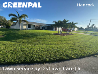 Grass Cut nearby Cape Coral, FL, 