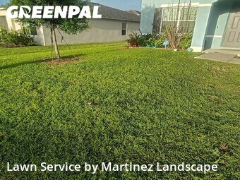 Grass Cut nearby Tavares, FL, 