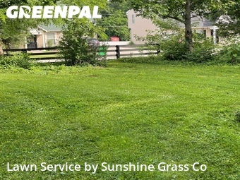 Grass Cutting nearby Sellersburg, IN, 