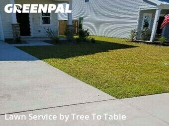Lawn Care nearby Charleston, SC, 