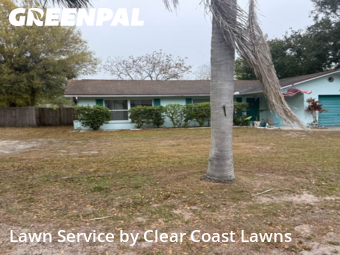 Lawn Care Servicein Dunedin,34698,Lawn Cutting by Clear Coast Lawns, work completed in Jan , 2026