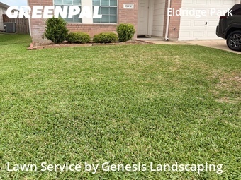 Lawn Care nearby Sugar Land, TX, 