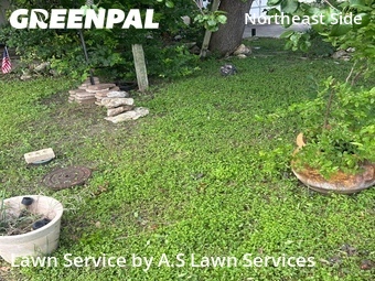 Grass Cutting nearby Converse, TX, 