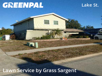 Grass Cuttingin Palm Harbor,34684,Grass Cut by Grass Sargent, work completed in Jan , 2026