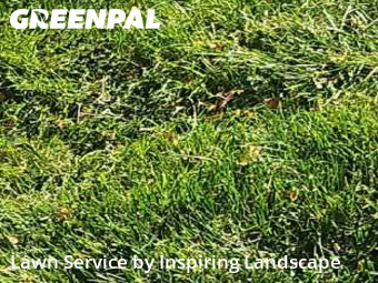 Local Lawn And Landscape Maintenance Services Near Me In Colorado Springs,80923,Landscaping by Inspiring Landscape, work completed in Nov , 2025