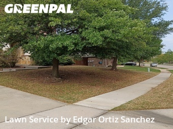 Lawn Care Service nearby Sachse, TX, 