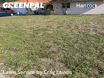 Yard Cutting nearby Cape Coral, FL, 