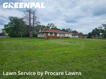 Grass Services in Brooklyn Center, 55429, Yard Cutting by Procare Lawns, work completed in Nov , 2025