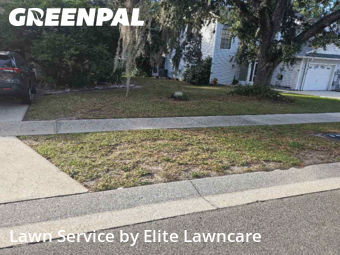 Lawn Mow nearby Tampa, FL, 