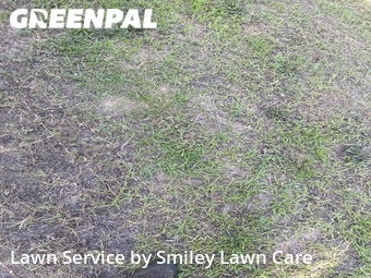 Lawn Mowing nearby West Columbia, SC, 