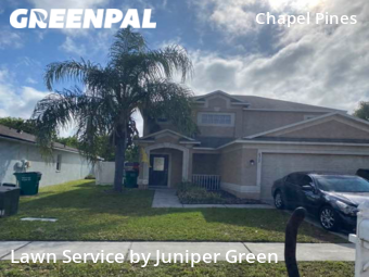 Lawn Mow nearby Wesley Chapel, FL, 