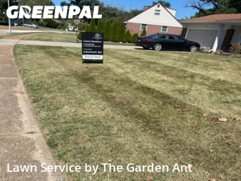 Grass Cutin Ballwin,63011,Yard Mowing by The Garden Ant , work completed in Nov , 2025