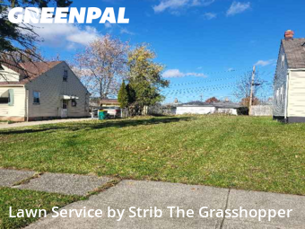 Lawn Cutting nearby Maple Heights, OH, 