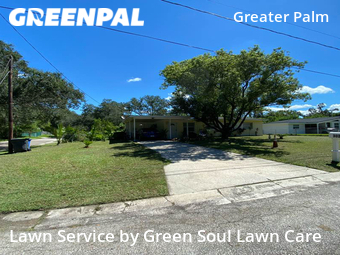 Lawn Cutting nearby Tampa, FL, 
