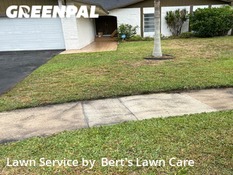 Lawn Cut nearby Sunrise, FL, 