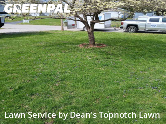 Grass Cut nearby Alton, IL, 