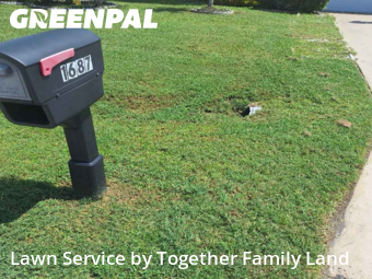 Lawn Cutting nearby Punta Gorda, FL, 