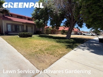 Local Lawn And Landscape Maintenance Services Near Me In Palmdale,93552,Landscaping Maintenance by Olivares Gardening , work completed in Jun , 2026
