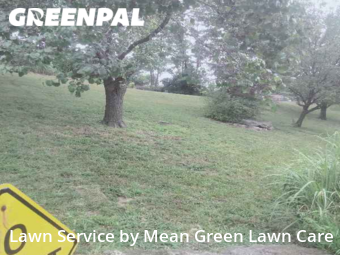 Yard Mowing nearby Arnold, MO, 