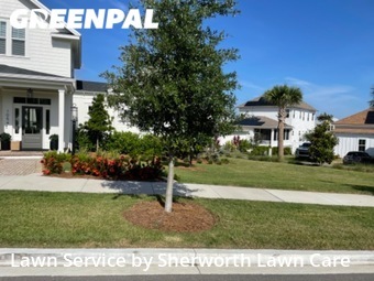 Grass Cutting nearby Winter Garden, FL, 