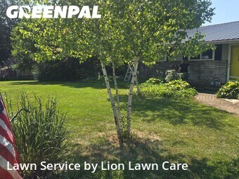 Grass Cutting nearby Springfield, OH, 