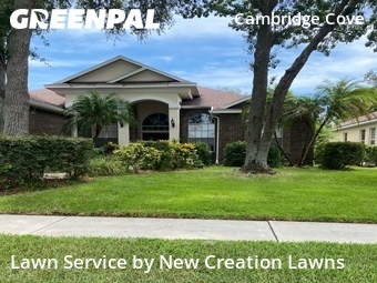 Grass Cut nearby Valrico, FL, 