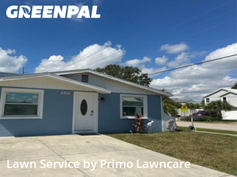 Yard Work in Sarasota, 34233, Lawn Services by Primo Lawncare , work completed in Nov , 2025