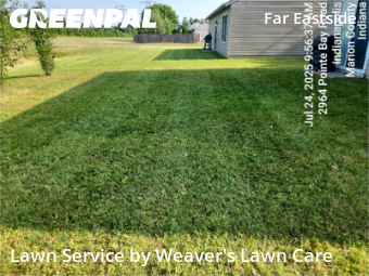 Grass Cutting nearby Indianapolis, IN, 