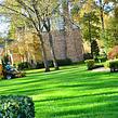 Nature Cuts Lawncare - Leaf removal service in Birmingham, AL