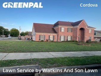 Lawn Cut nearby Cordova, TN, 